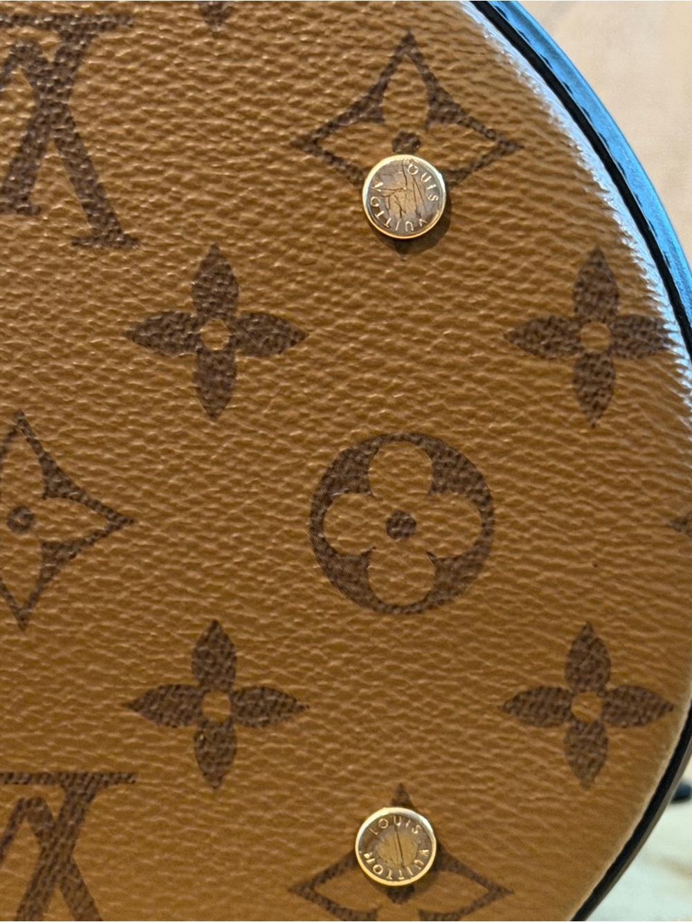 Louis Vuitton Cannes Monogram Reverse - Picture 11 of 13